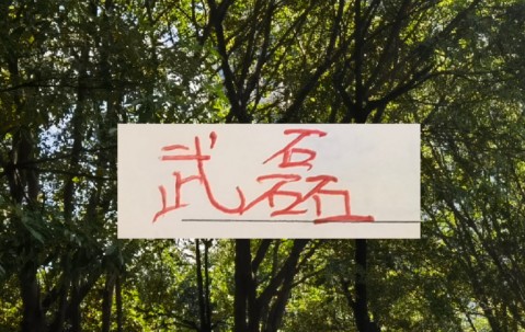 海港冬训海报 武磊跟LEO占C位 梅伦多跟加布里不在之中